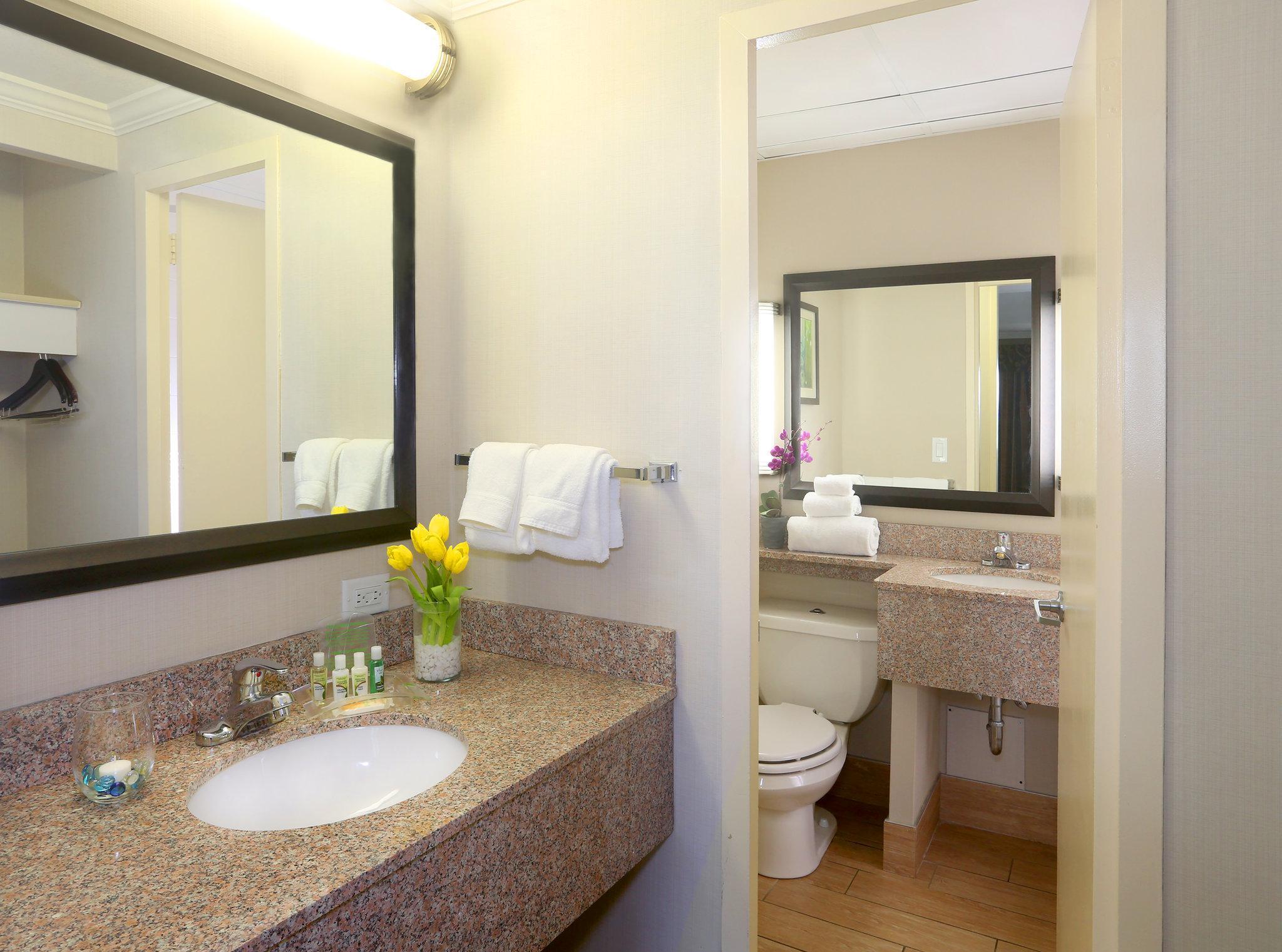 Holiday Inn Binghamton-Downtown Hawley Street By Ihg Екстериор снимка